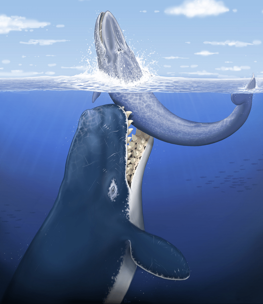 Кашалот Левиафан Мелвилла