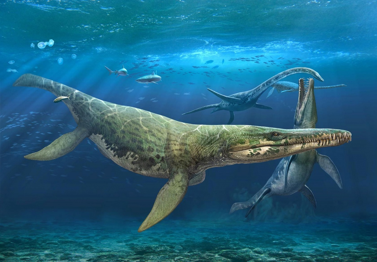 Морские динозавры Kronosaurus
