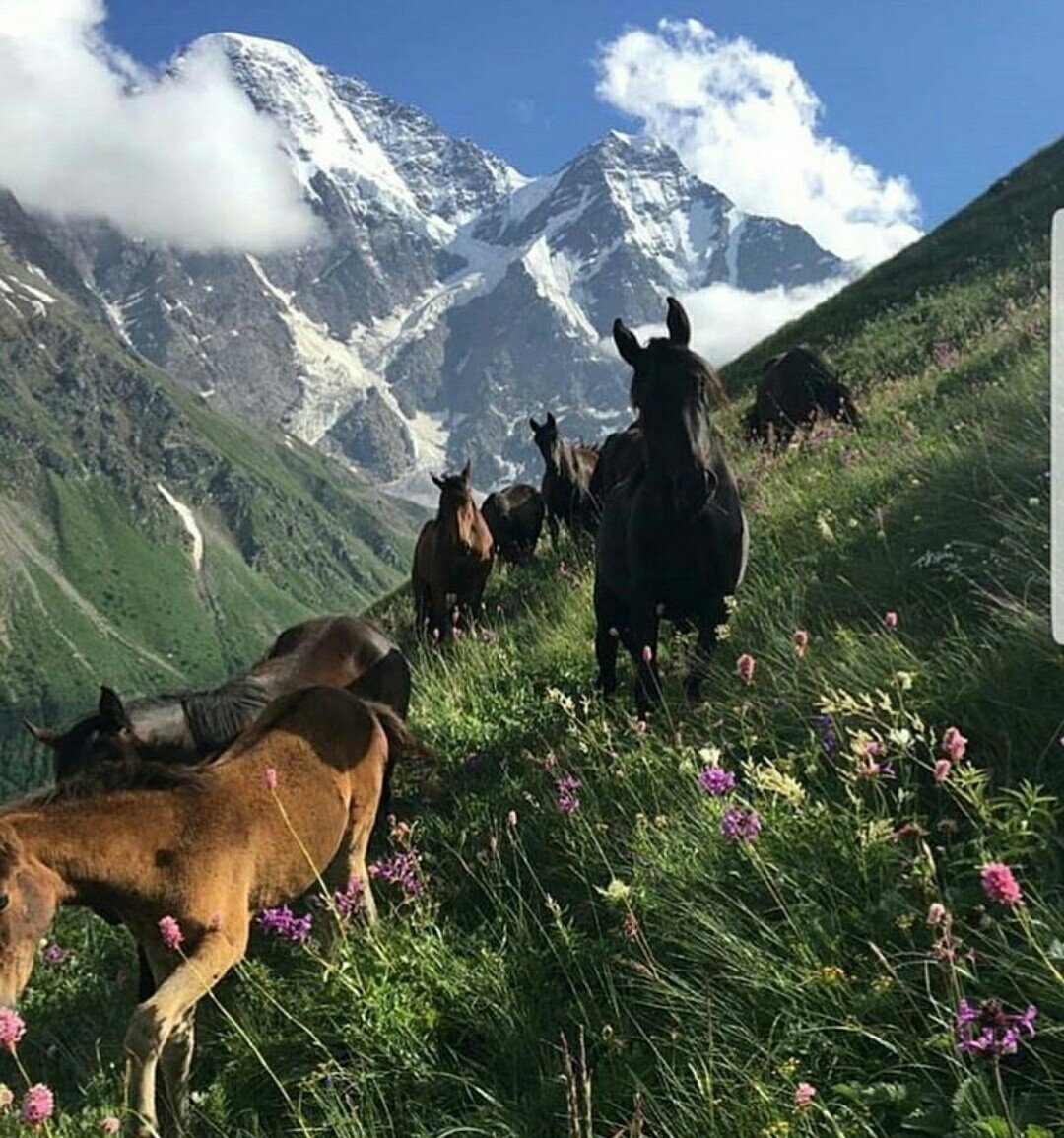 Арсланбоб Киргизия