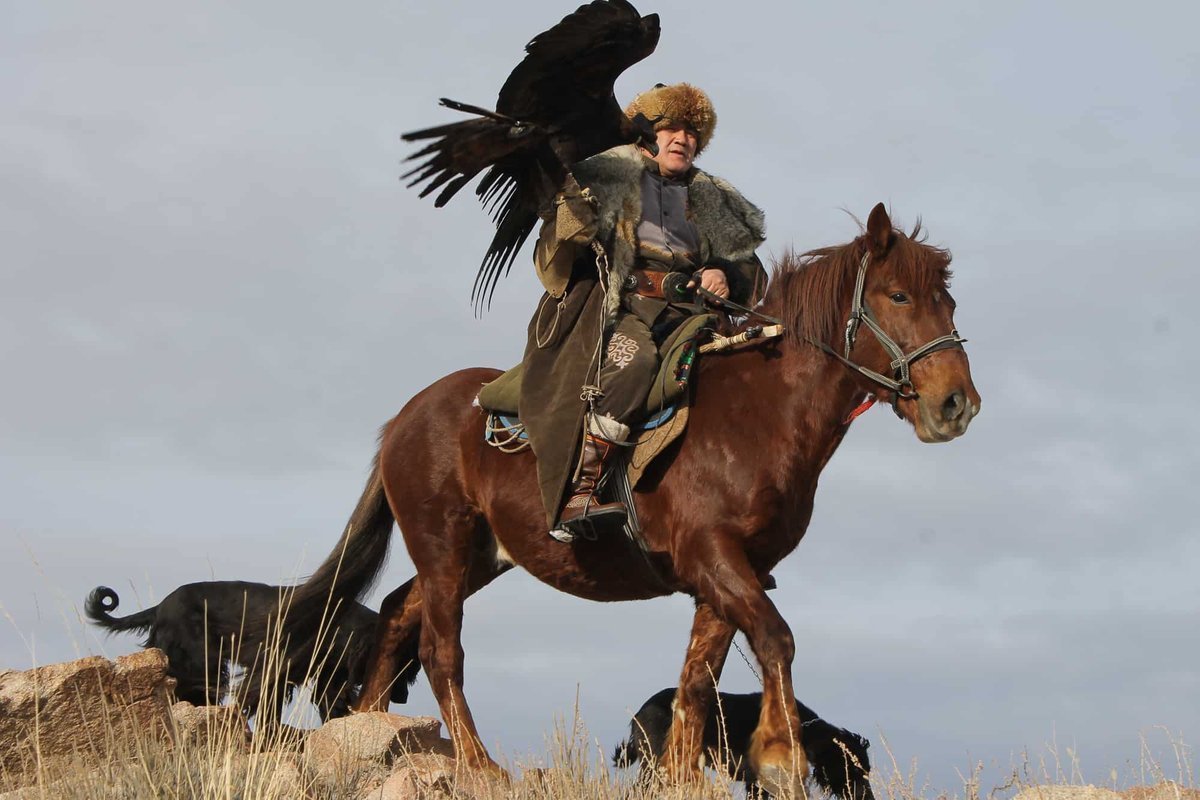 Салбуурун Кыргызстан Беркуты