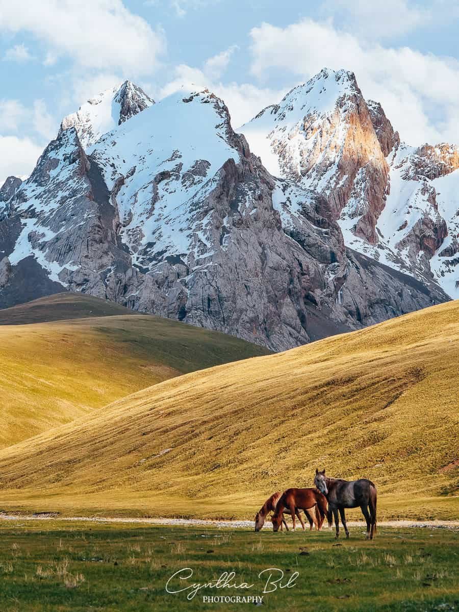 Киргизия природа