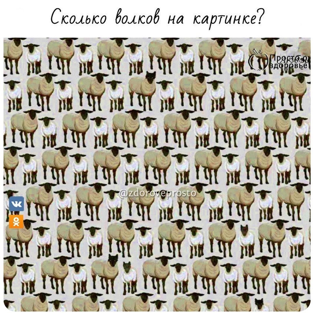 Сколько Волков среди овец на картинке