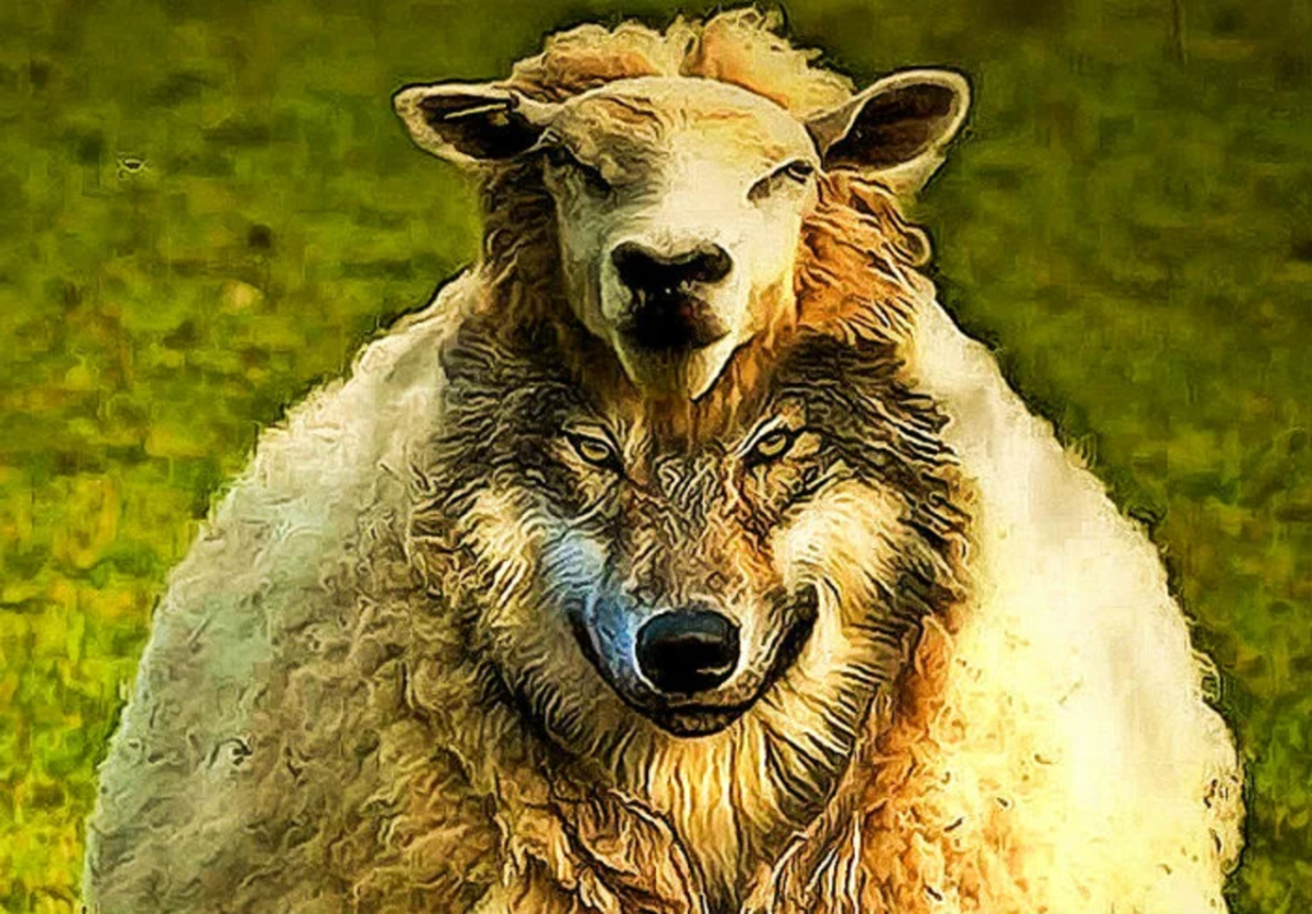 Волк в шкуре овцы