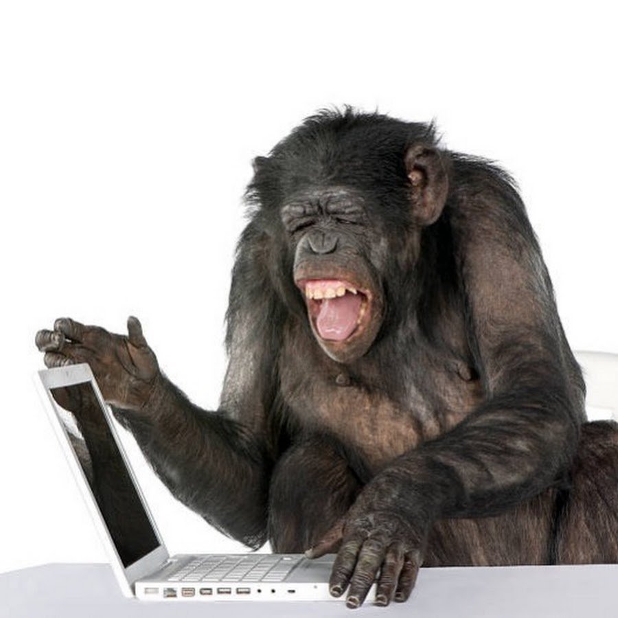 Шимпанзе с ноутбуком