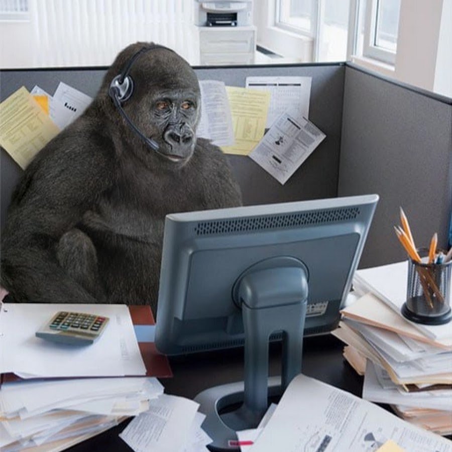 Обезьяана за компьютеров