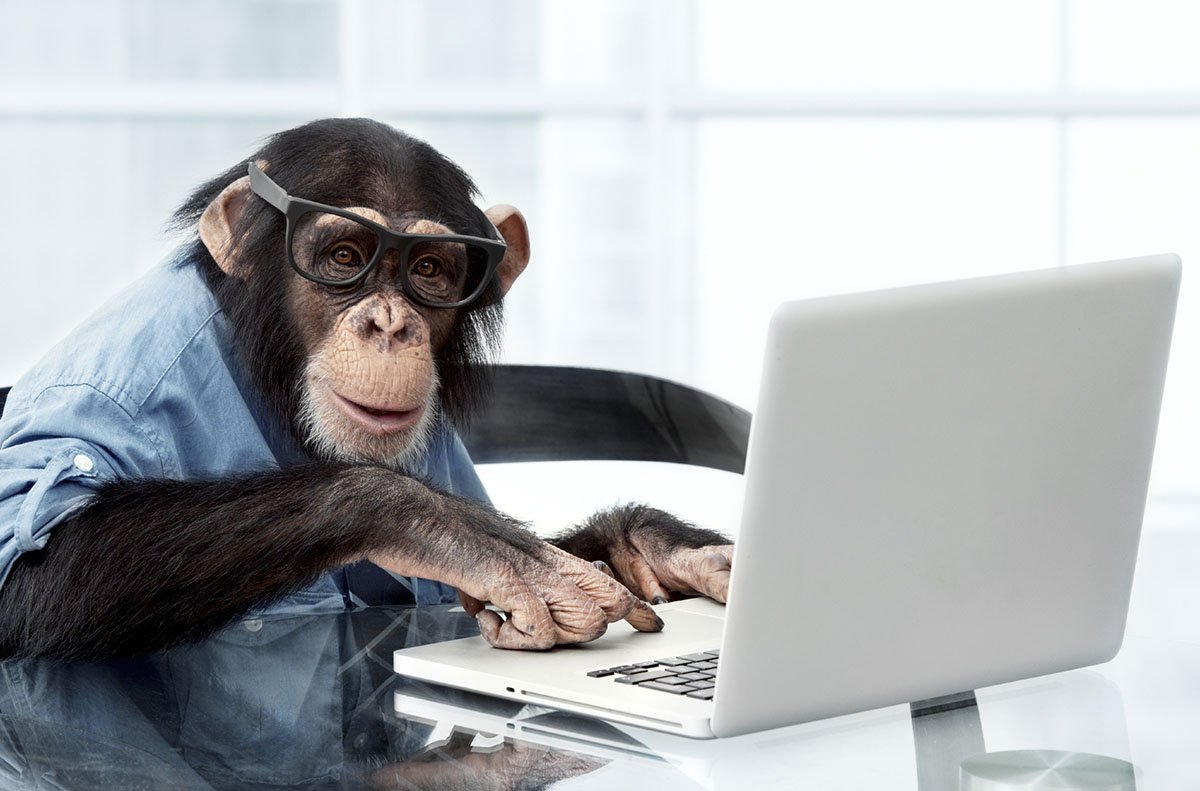Обезьяна с компьютером