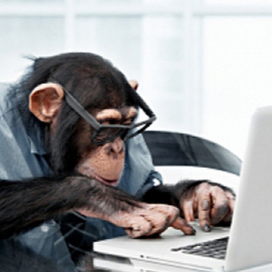 Обезьяна с компьютером