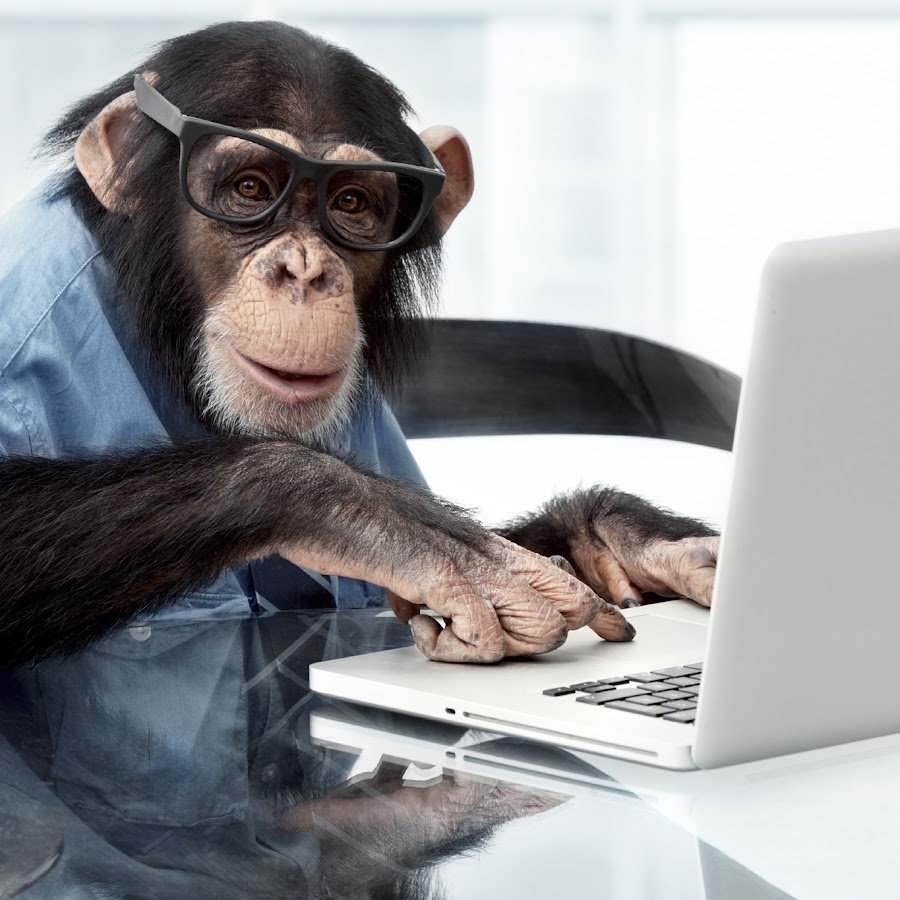 Мартышка в очках