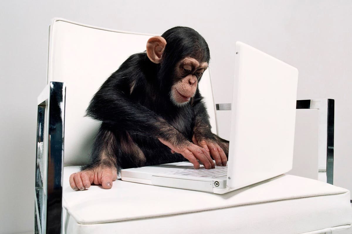 Обезьяна с ноутбуком