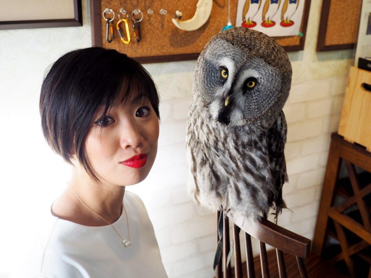 Совиное кафе в Токио