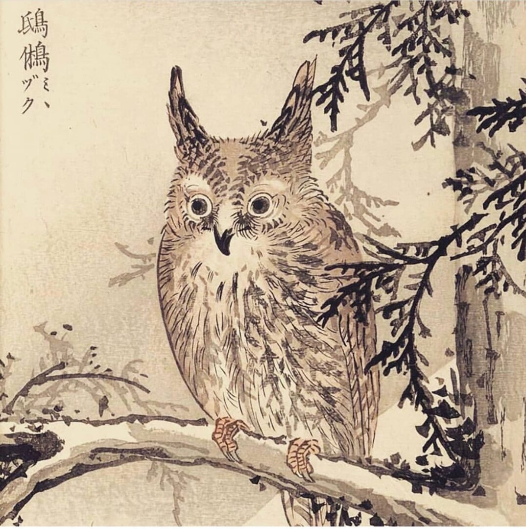 Филин японская гравюра