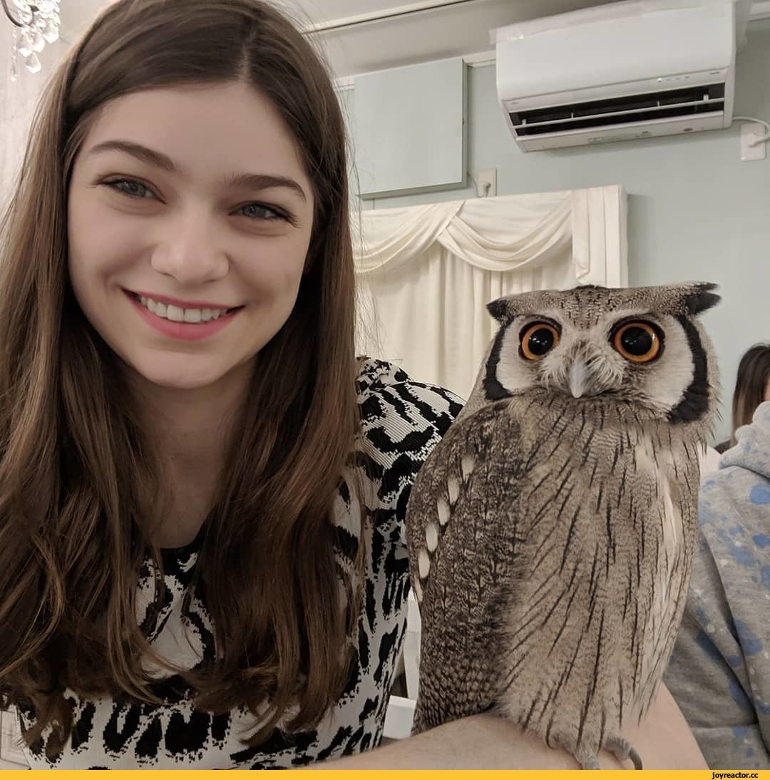 Японская Сова