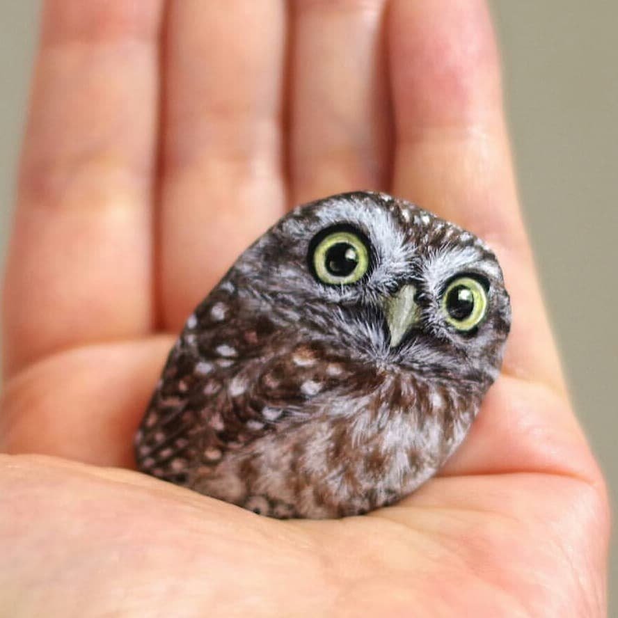 Сова на Камне