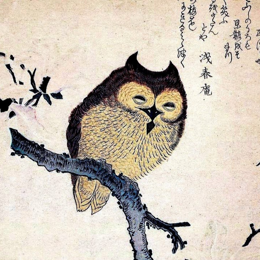 Китайские Совушки