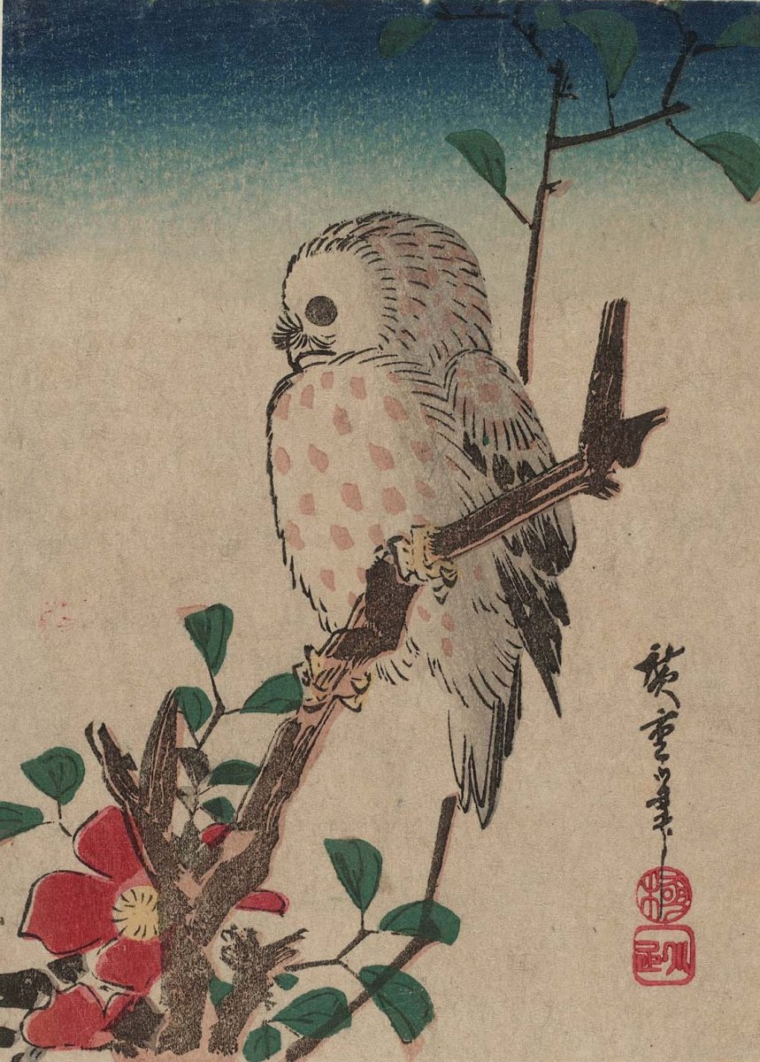 Филин японская гравюра