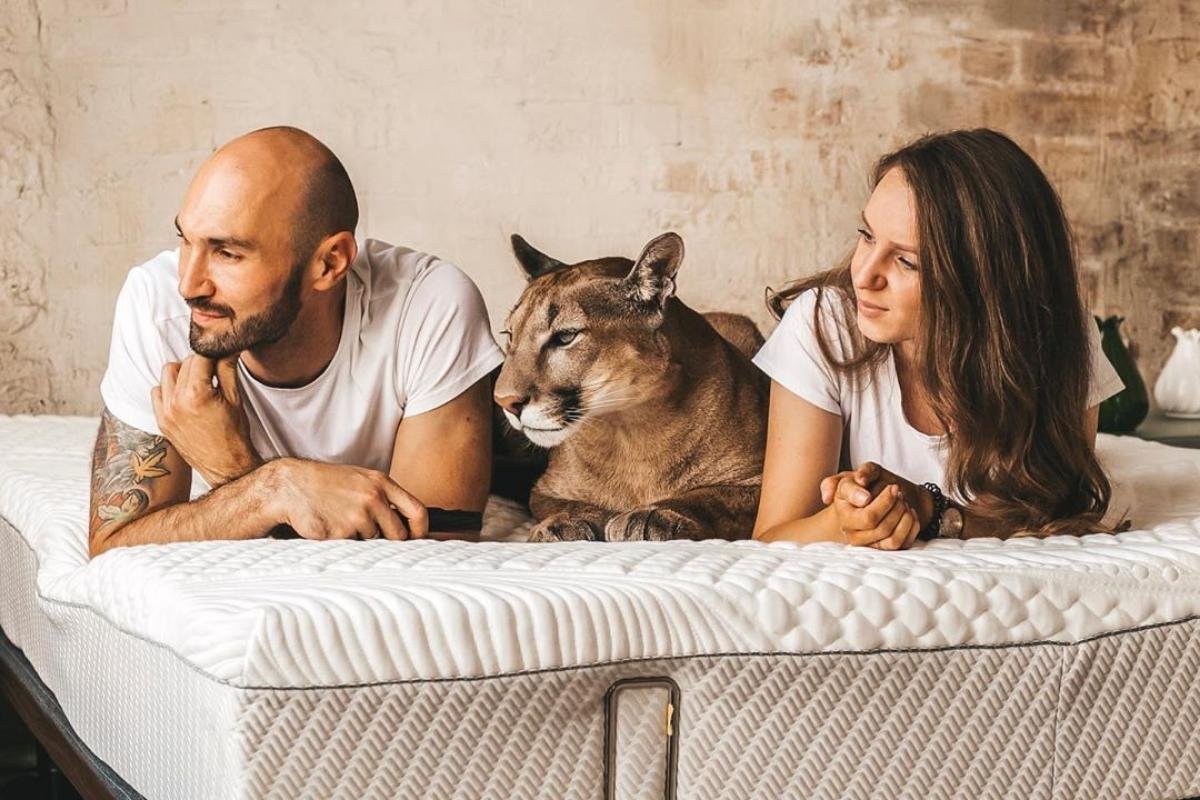 Александр Дмитриев Пума