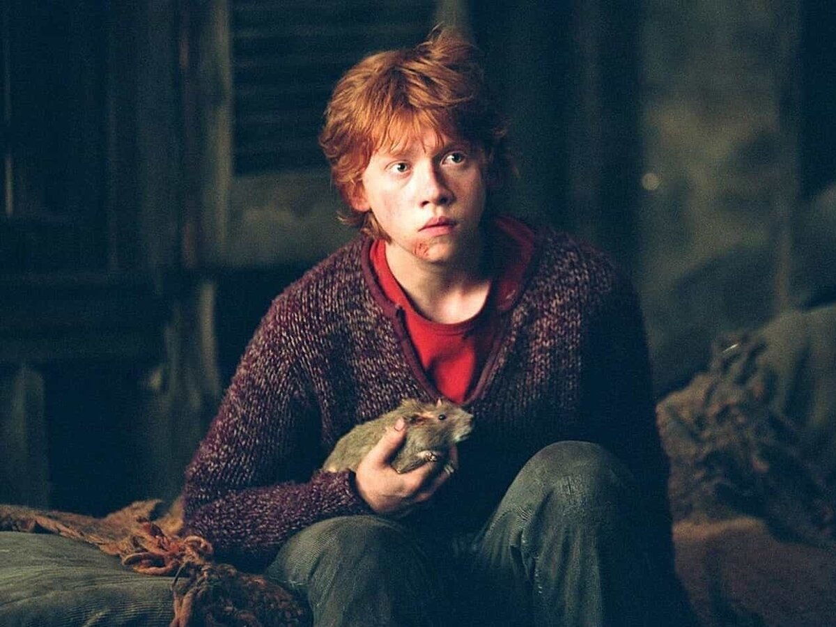 Гарри Поттер и Рон Уизли