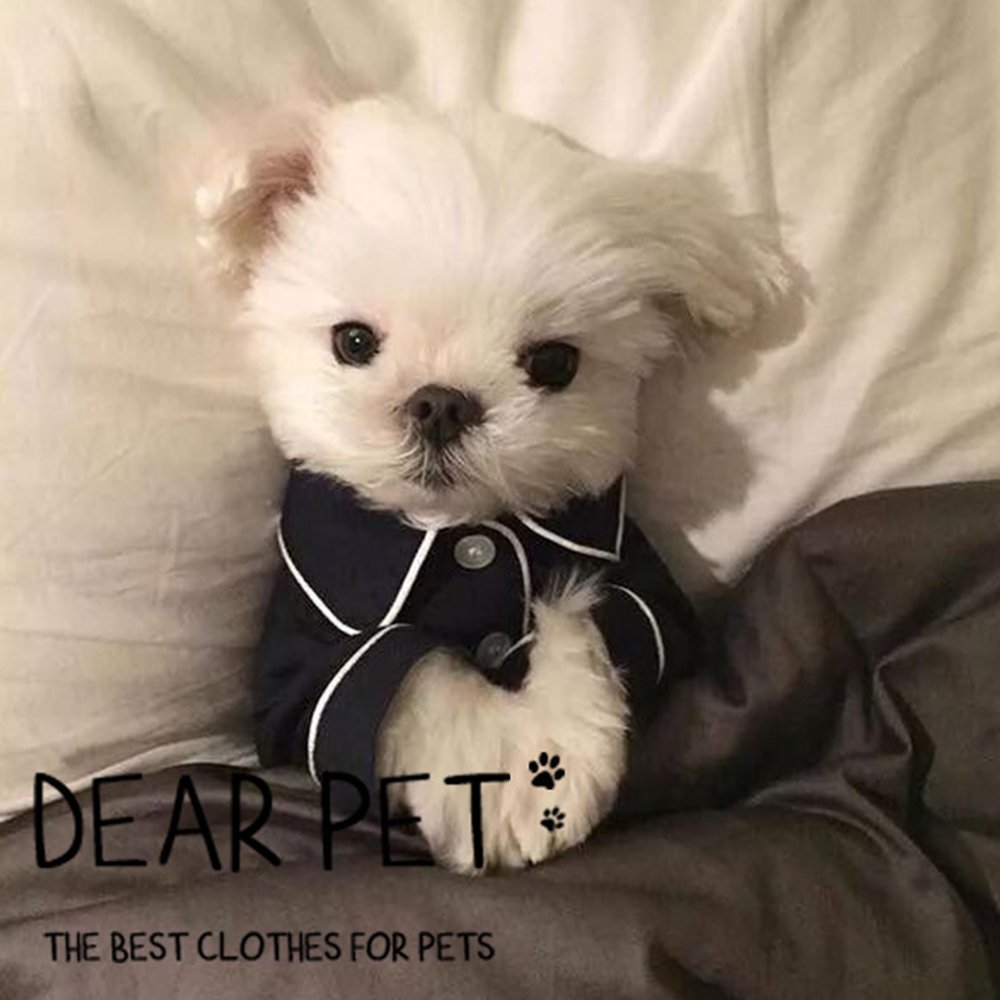 Маленькие китайские собачки