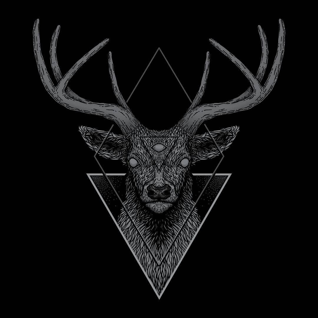 Череп оленя