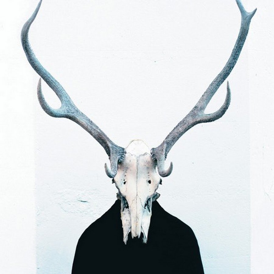 Череп оленя с рогами