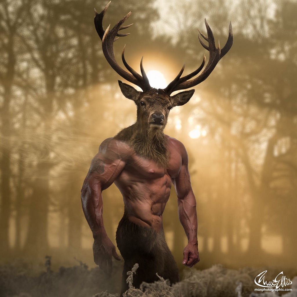 Викка кернуннос