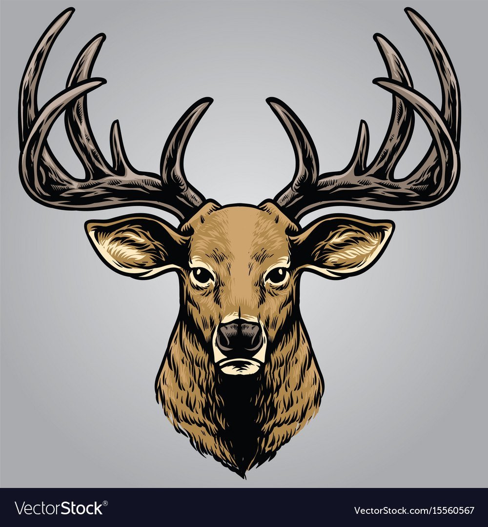 Олень вектор