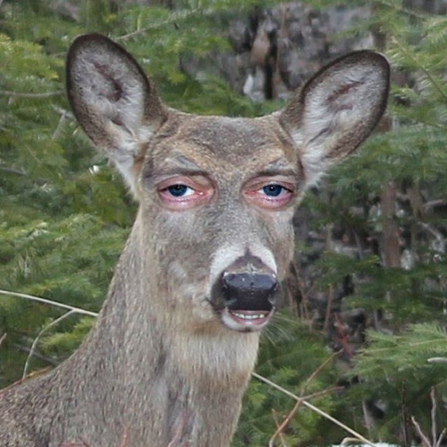 Упоротый олень