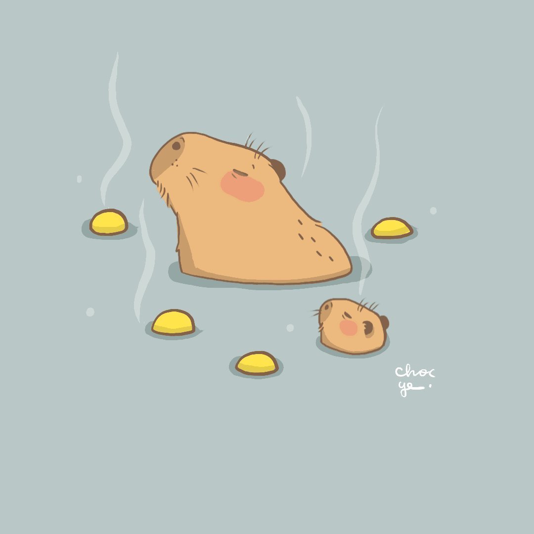 Капибара Минимализм