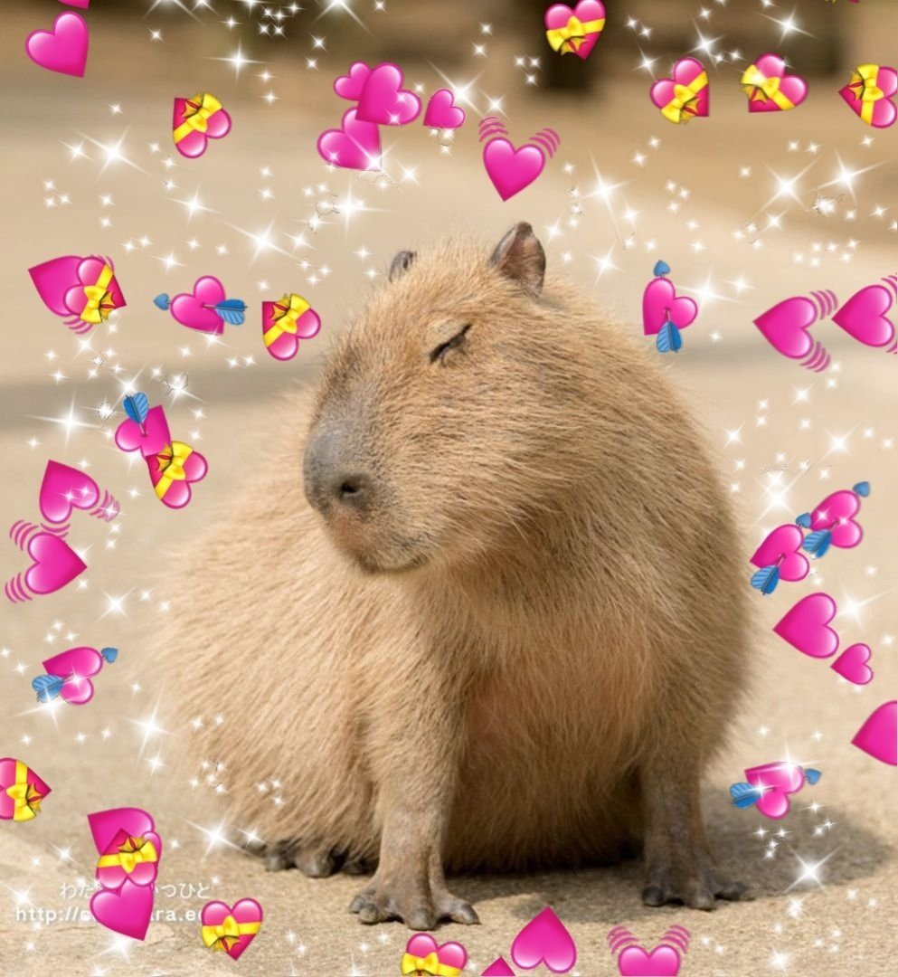 Злая капибара