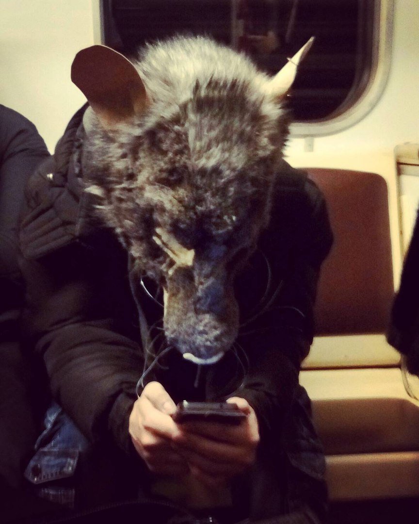 Гигантские крысы в Московском метро