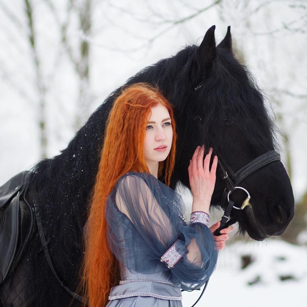 Девушка на черной лошади
