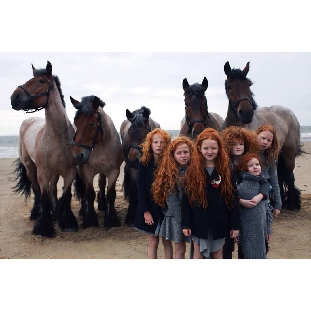 Ирландские дети и рыжие лошади