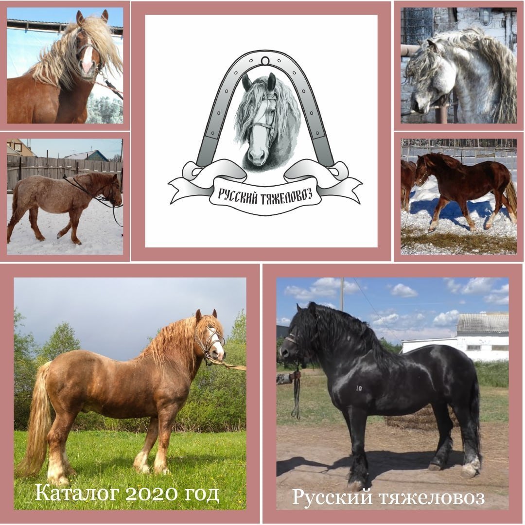 Раскраска тяжеловоз