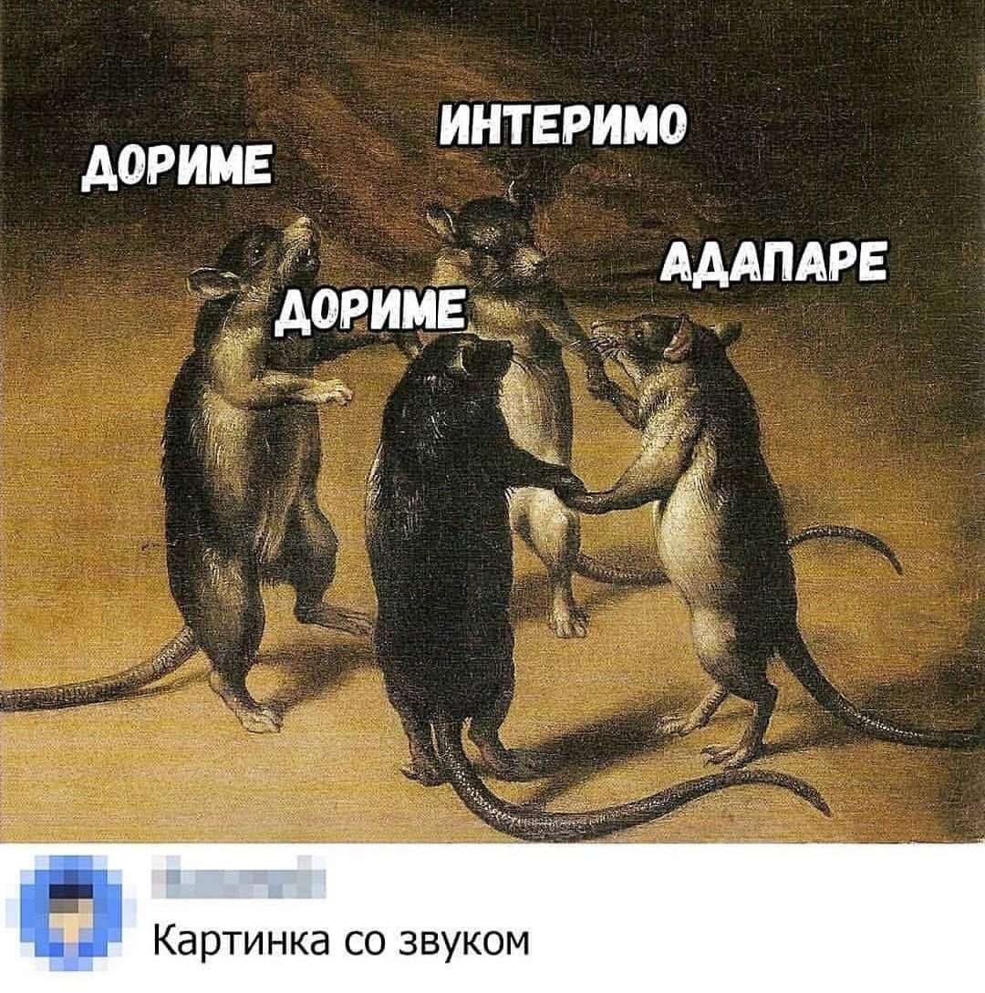 Три крысы дориме