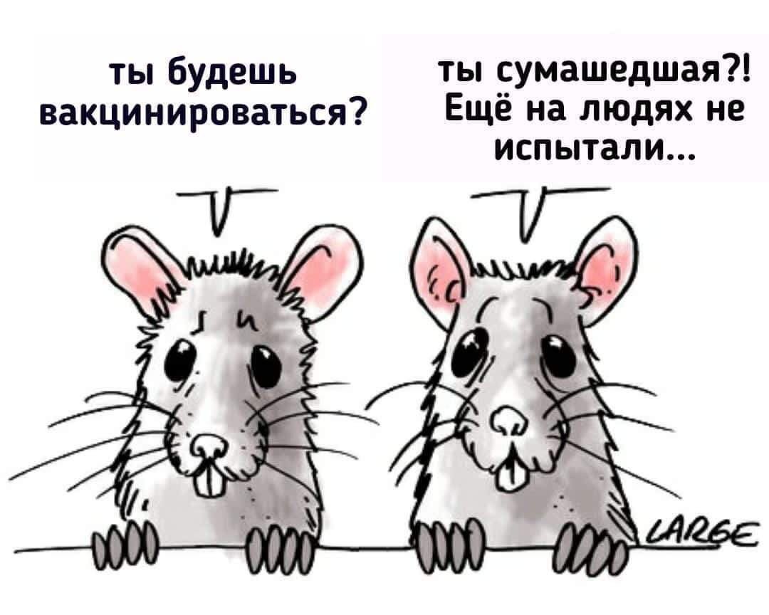 Вакцинация юмор