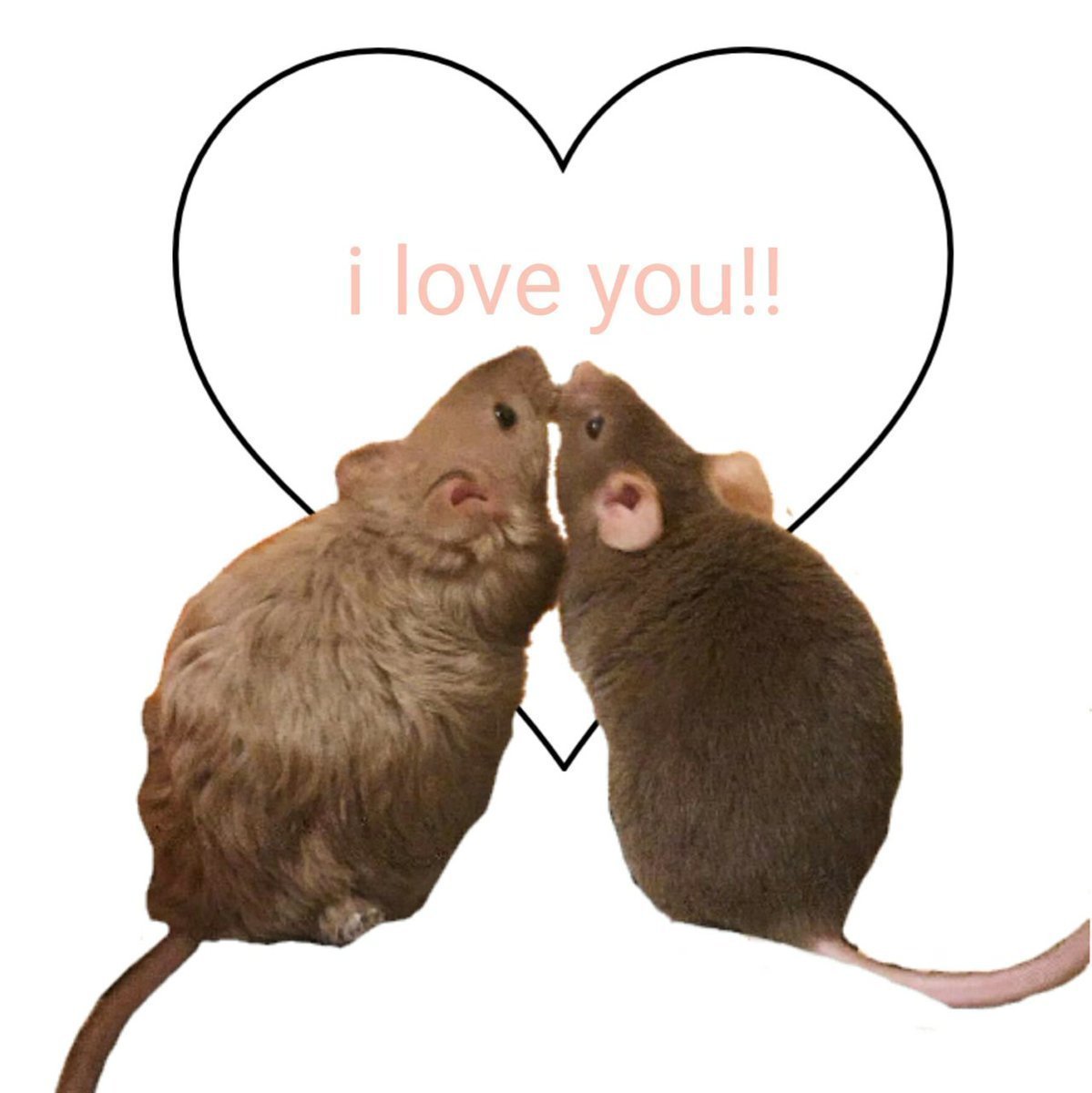 Валентинка с крысой
