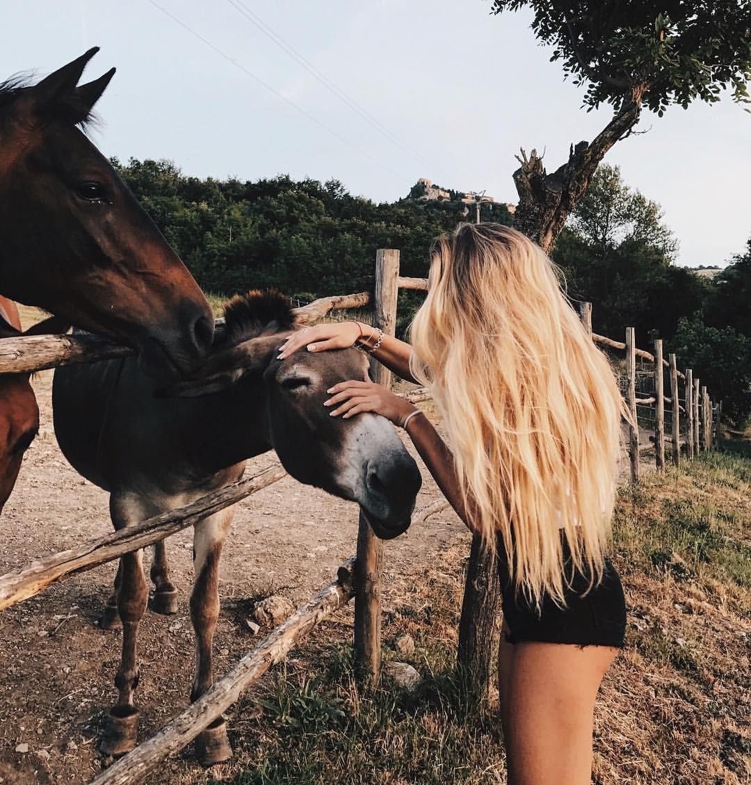 Блондинка на лошади