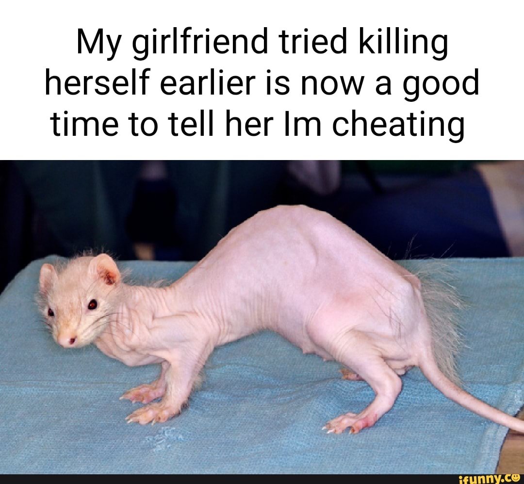 Ласка лысая