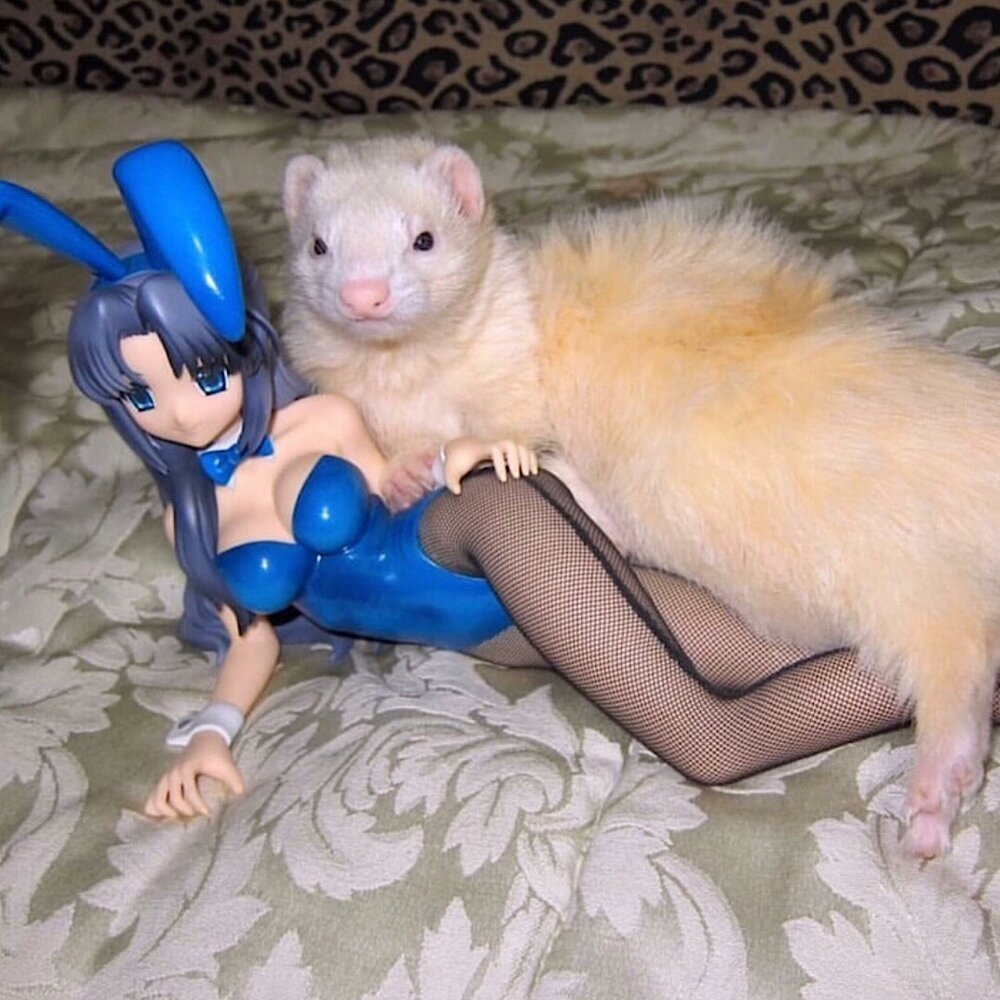 Девушка с хорьком