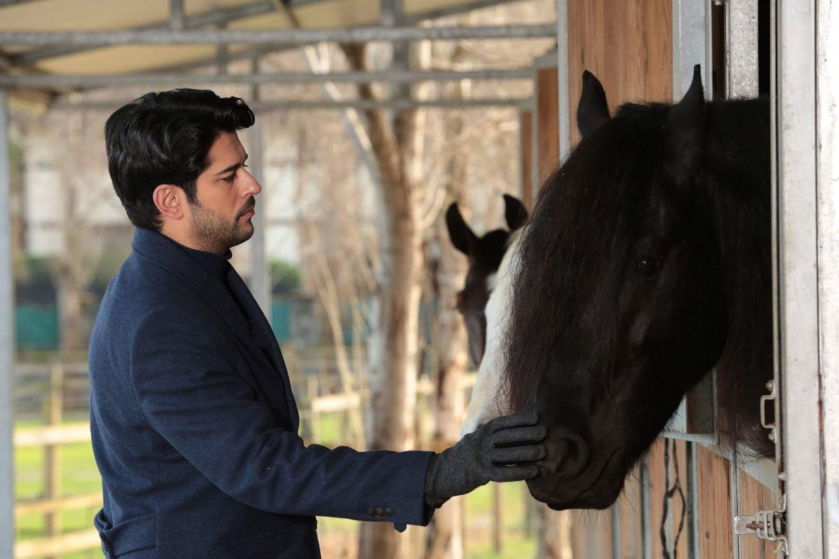 Бурак Озчивит в сериале черная любовь