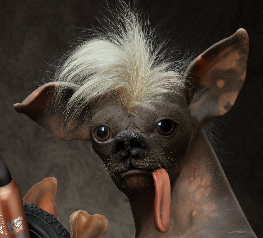 Китайская хохлатая лысая