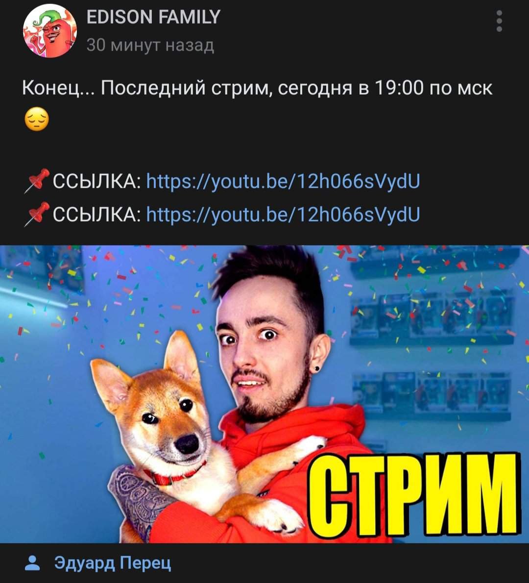 Марти пес Эдисона