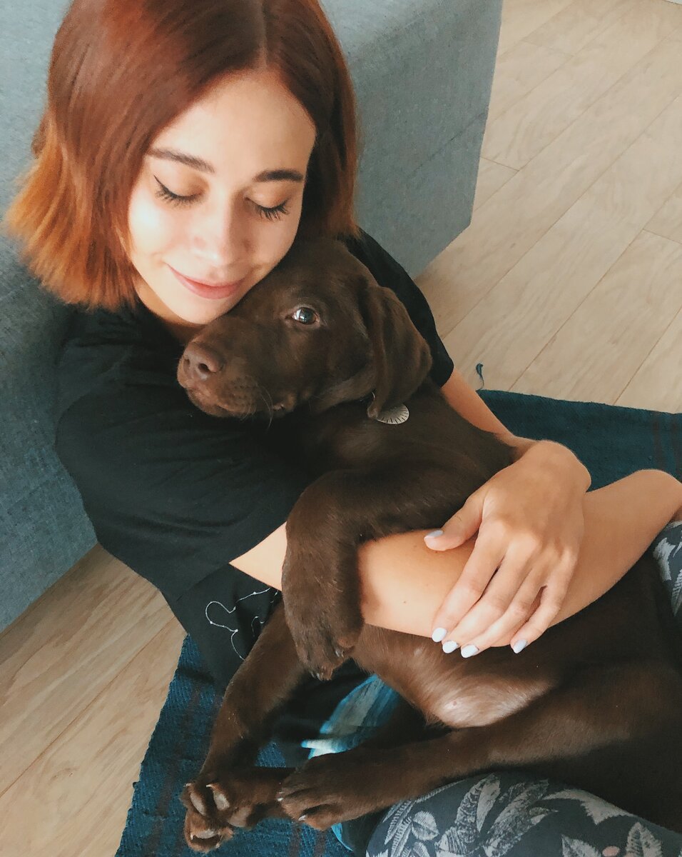 Порода собаки Эдисона