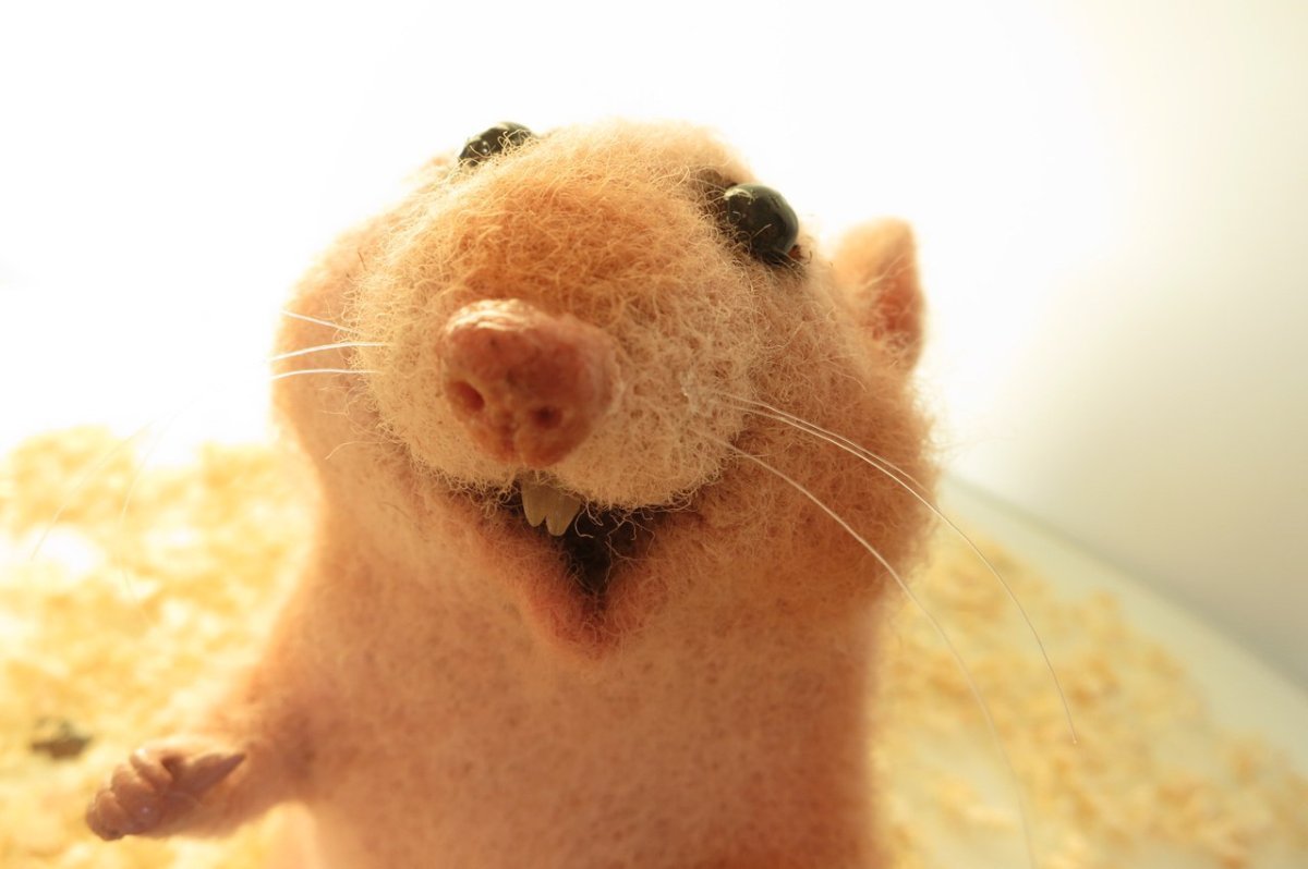 Улыбчивый хомячок