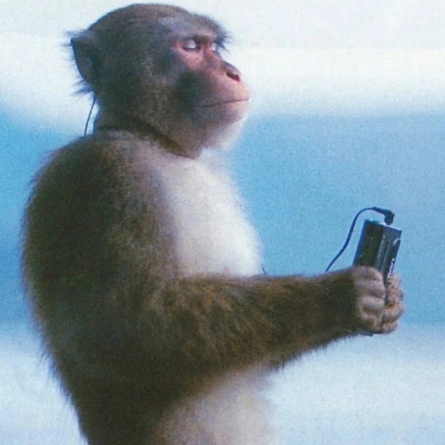 Обезьяна с плеером