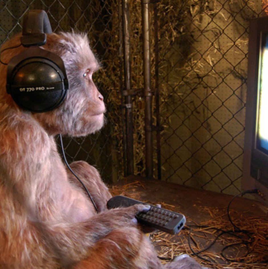 Обезьяна за компом