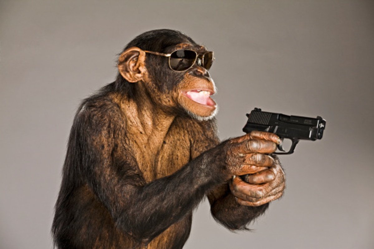 Обезьяна с пистолетом