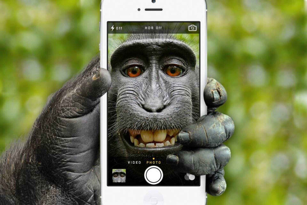 Смешной смартфон