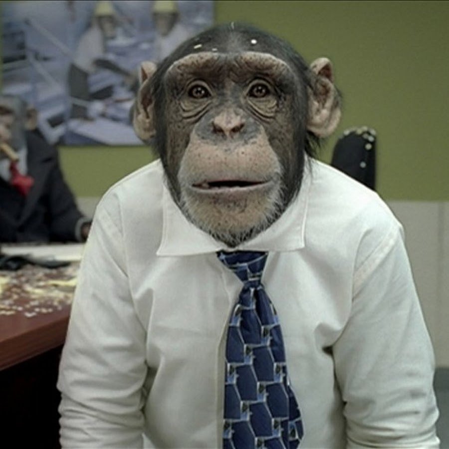 Обезьяна демотиватор