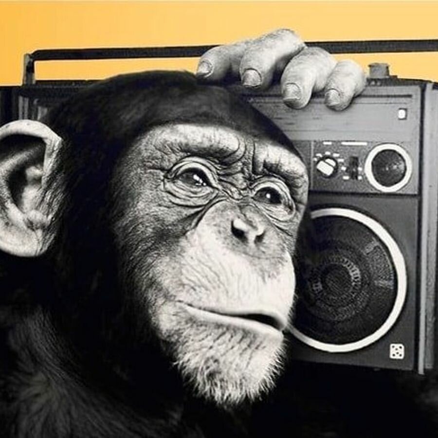 Обезьянка с наушниками